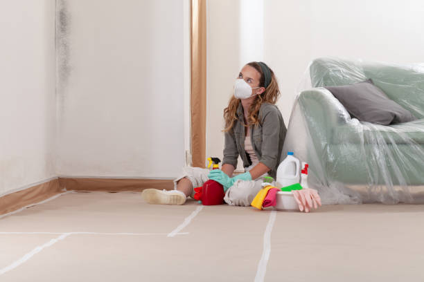 Reliable Mold Remediation contractor in California, MD by WQB Mold Removal