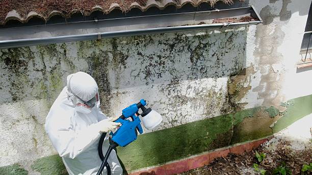 Top rated local Mold Remediation specialists in California, MD